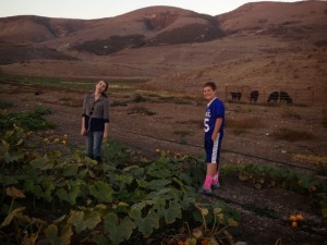 My daughter Holly and our friend Connor picking pumpkins on this beautiful farm.