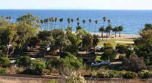 Refugio state beach, right off Hwy 101, just north of Santa Barbara. Camping available (reservations only).