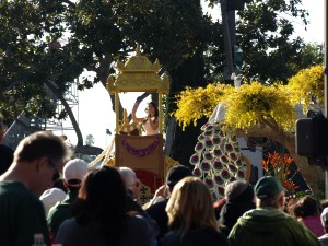 I love the coloring of the peacock flowers.